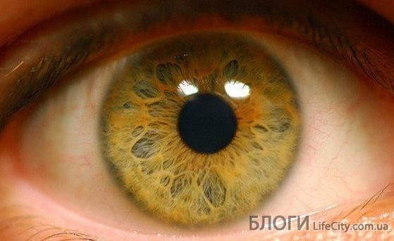 Дистрофия сетчатки глаза – причины, симптомы и лечение
