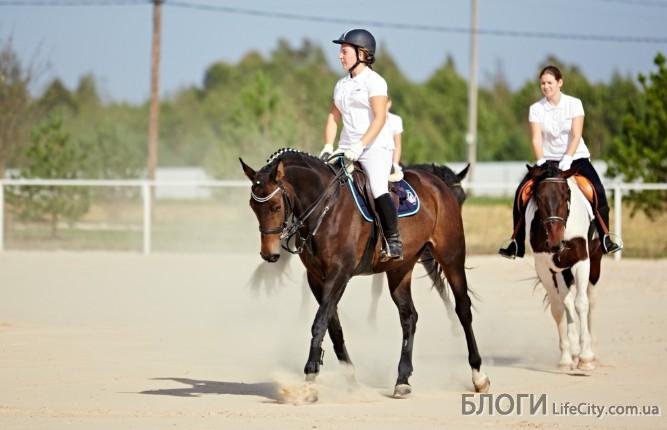 Уроки верховой езды от конно-спортивного клуба Equides Club