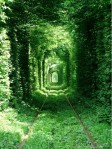 Романтический тоннель в  Ровно