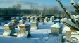 Уход за пчелами в зимний период