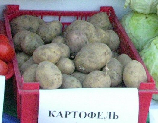 За ночь картофель в Мариуполе подорожал почти на 3 грн.
