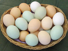 В Мариуполе впервые перед Пасхой подешевели яйца