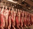 До 2009 года Донецкая область будут обеспечена собственным мясом