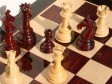 В мире отмечают международный день шахмат
