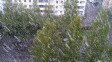 Лето в России началось с мороза и снега, видео