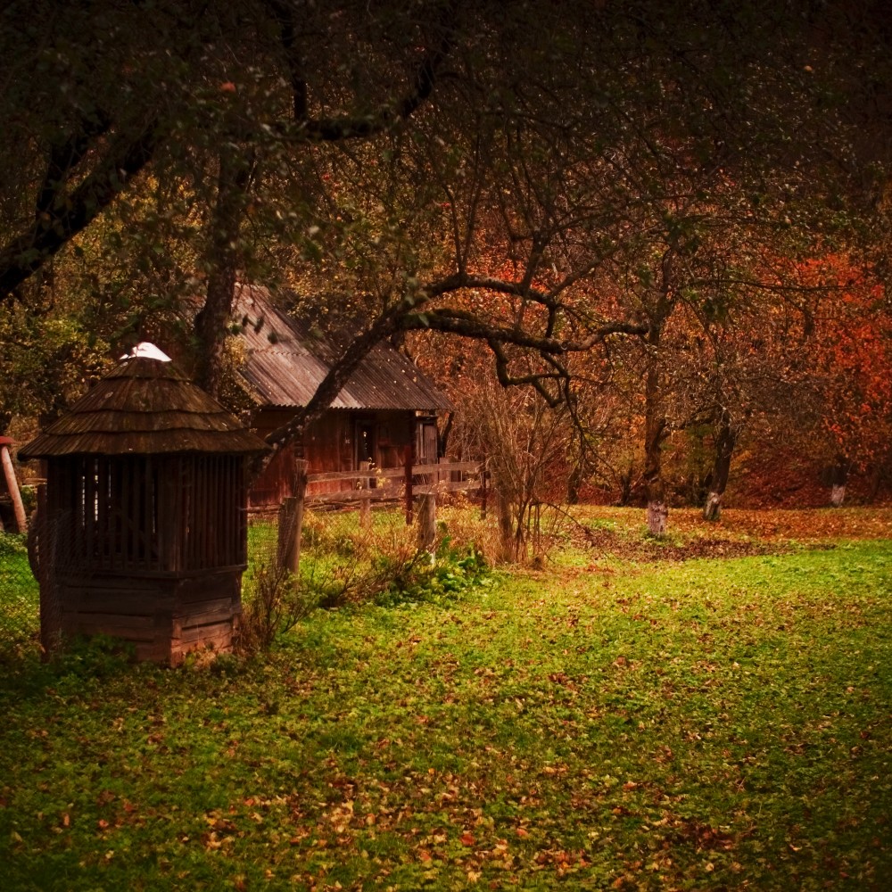Forever Autumn vol.2 | Фотогалерея, Мариуполь
