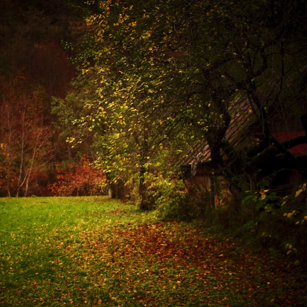 Forever Autumn | Фотогалерея, Мариуполь