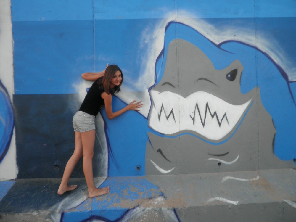 акулка | Фотогалерея, Мариуполь