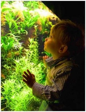 Выставка аквариумных рыб и экзотических животных в Мариуполе в Мариуполе