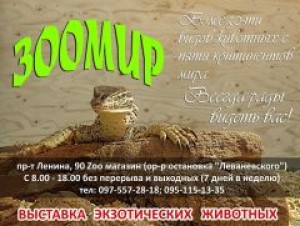 Экзотические животные в Мариуполе