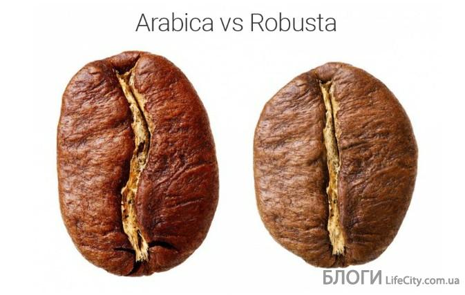 кофейные зерна арабика и робуста