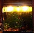 Освещение для аквариума. Оригинальная крышка со светильниками.