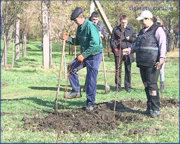 За несколько дней в Мариуполе высадили 4 тысячи деревьев и кустарников
