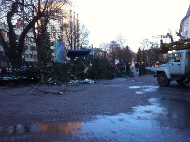 В Ивано-Франковске из-за шквального ветра упала главная елка города