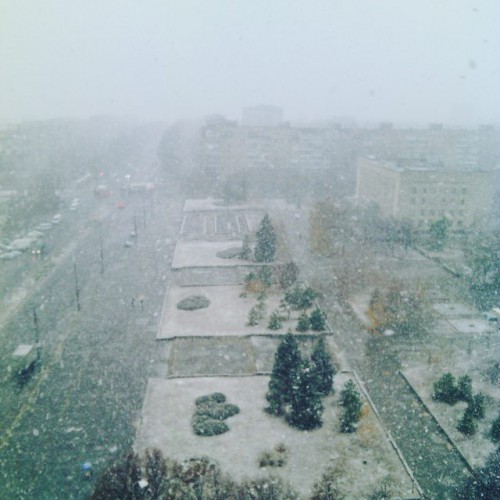 В Украине в нескольких областях выпал снег