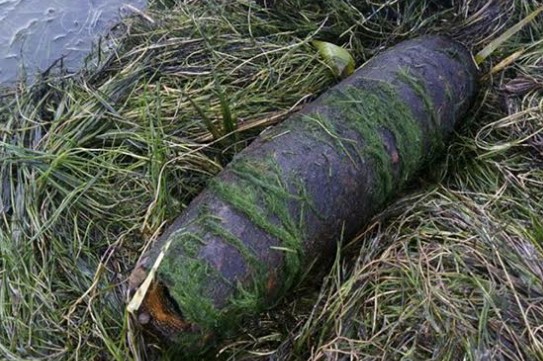 Подростки в реке Кальмиус нашли снаряд ВОВ
