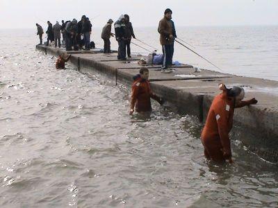 Спасатели вылавливают из Азовского моря покрышки и бутылки