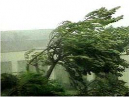 Последний день лета в Мариуполе будет с дождями, грозами и шквальным ветром