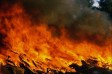 В Львовской области в результате пожара в школе погиб директор 