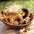 В Мариуполе человек отравился грибами