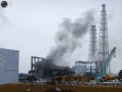 По мнению The Wall Street Journal, во взрывах на станции «Фукусима» виновата компания TEPCO