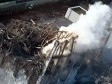 На АЭС Фукусима-1 взорвался резервуар с газом