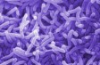 В Мариуполе зарегистрирован новый случай заболевания холерой