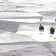 Спасатели сняли 36 рыбаков со льдины в Азовском море