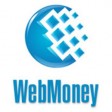 Налоговики заблокировали счета «Web Money Transfer», видео