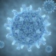 В Мариуполе отмечаются случаи заболевания ротавирусной инфекцией