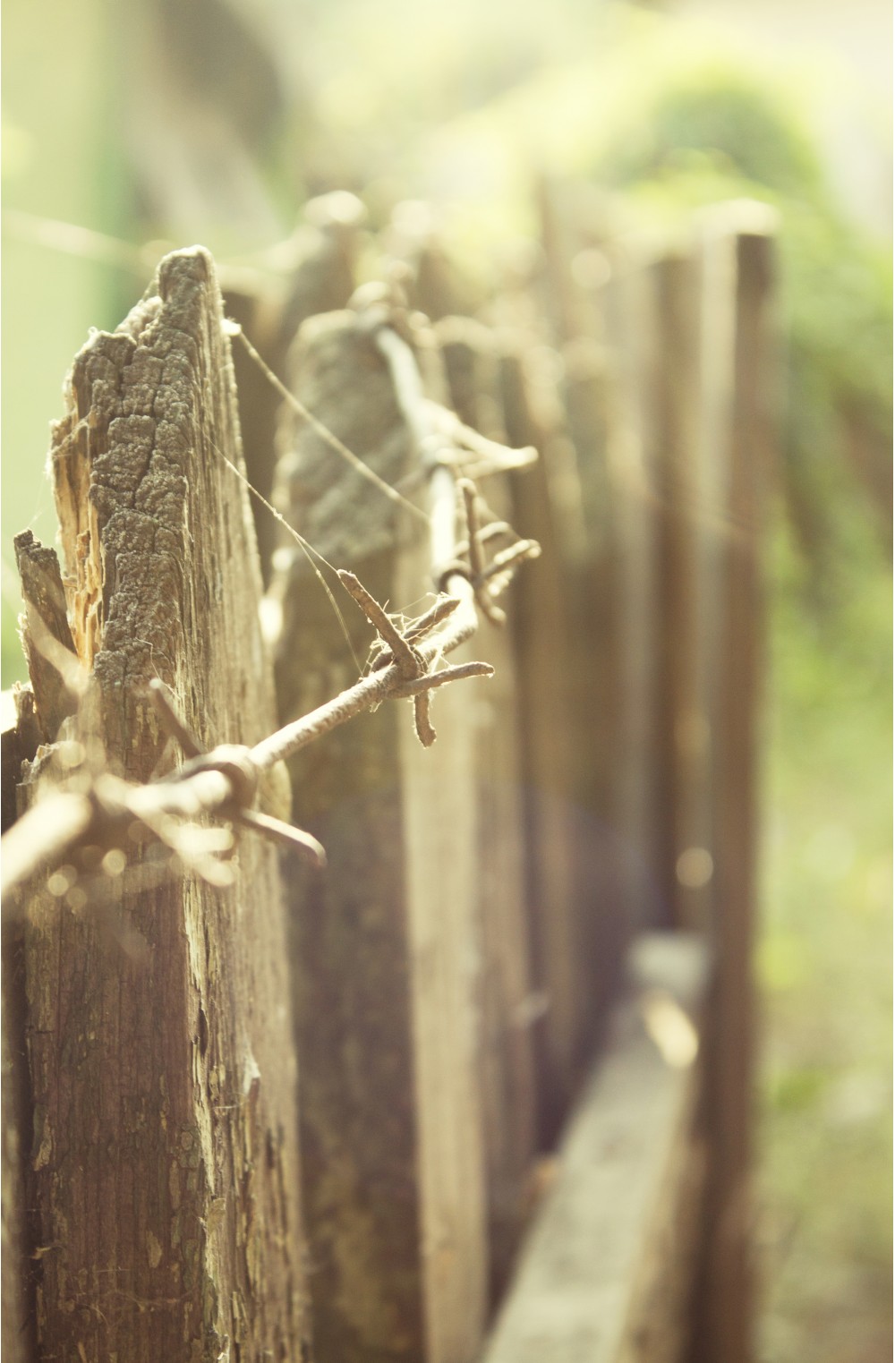 забор | Фотогалерея, Мариуполь