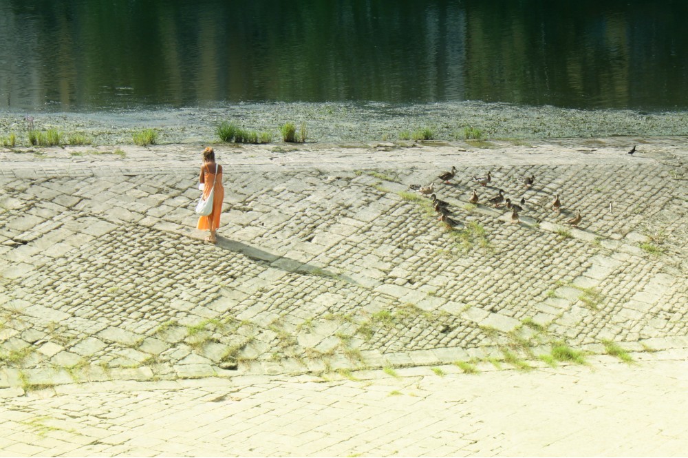 Кормила уток | Фотогалерея, Мариуполь