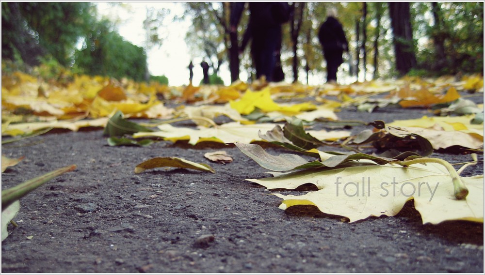Fall story | Фотогалерея, Мариуполь