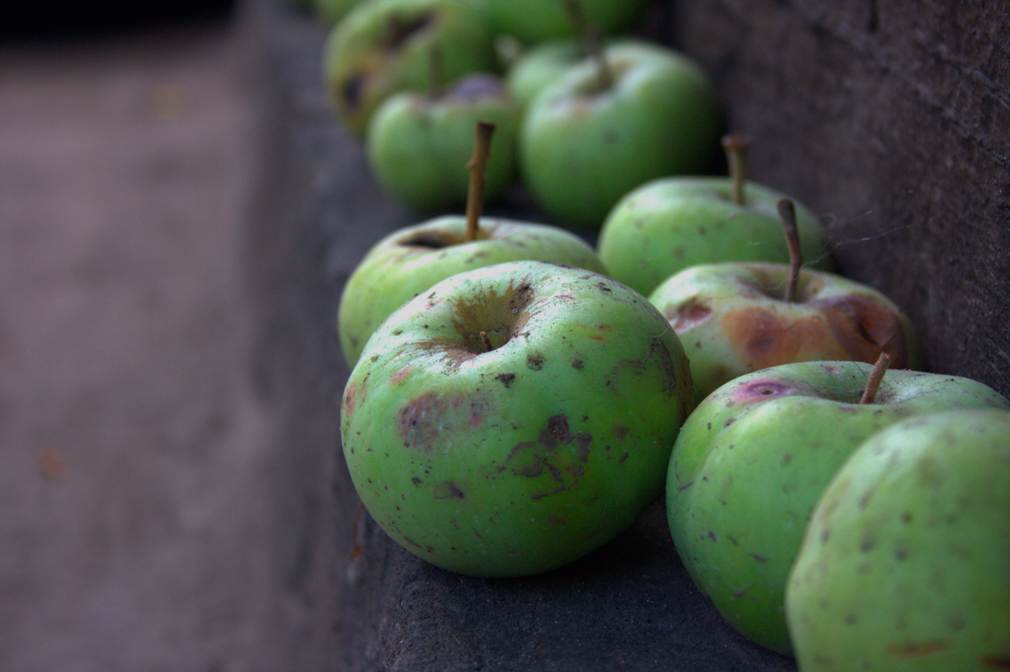 Яблочки зеленые | Фотогалерея, Мариуполь