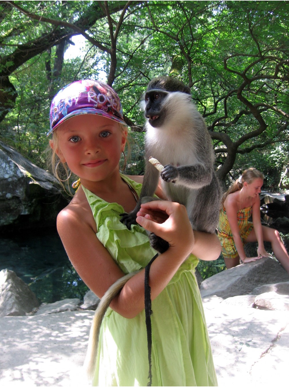 две обезьянки | Фотогалерея, Мариуполь