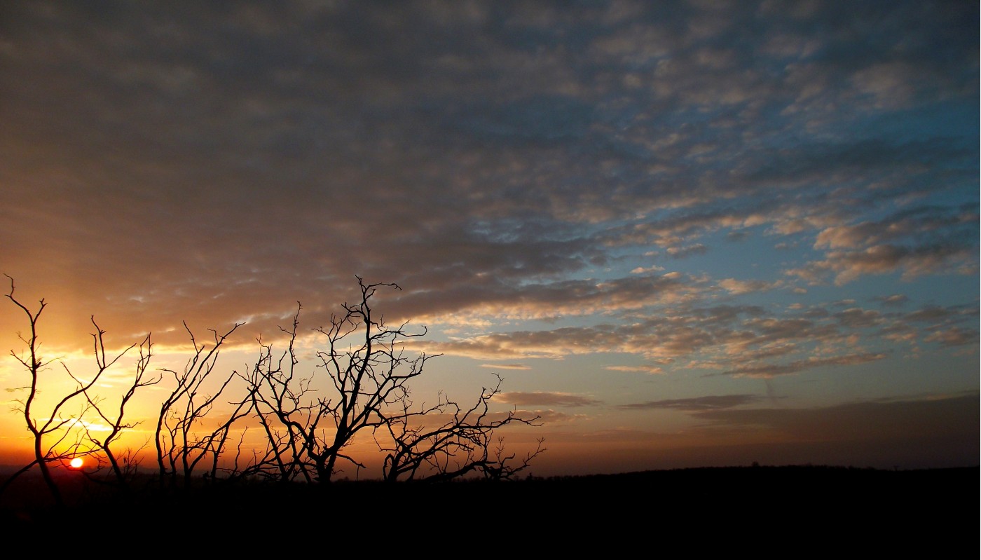 Мариупольские каряги на закате дня | Фотогалерея, Мариуполь