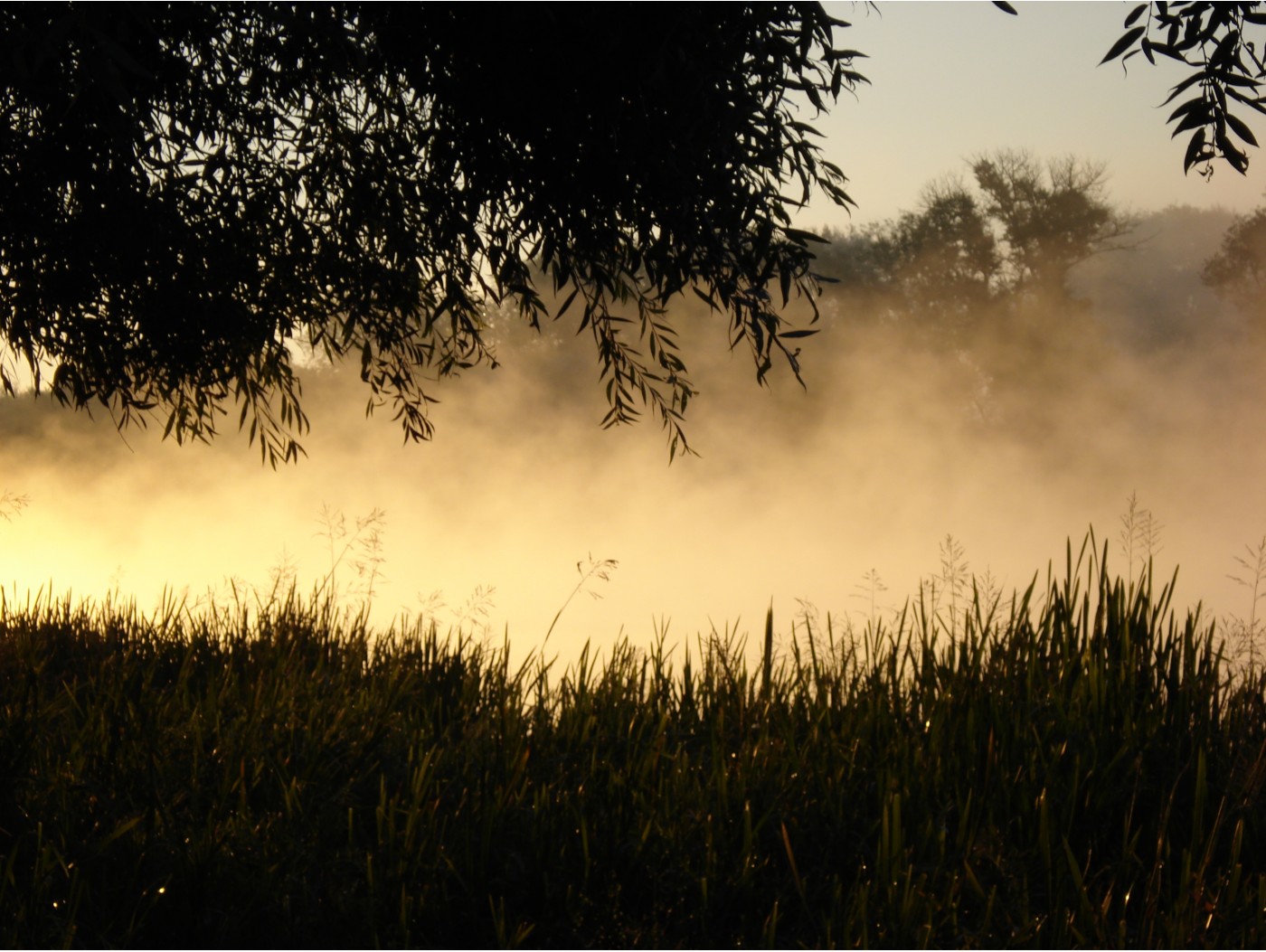 Славянск рассвет | Фотогалерея, Мариуполь