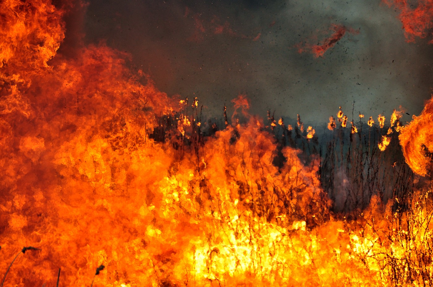 Стихия огня | Фотогалерея, Мариуполь